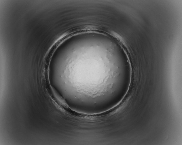 X0000084550827200703021504