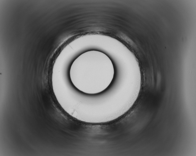 X0000084550828200703021504