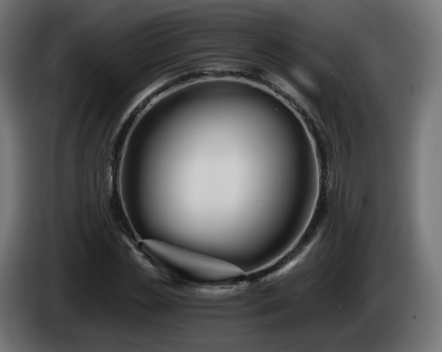 X0000084550829200703021504
