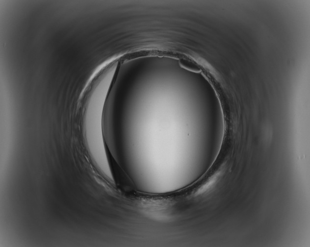 X0000084550830200703021504