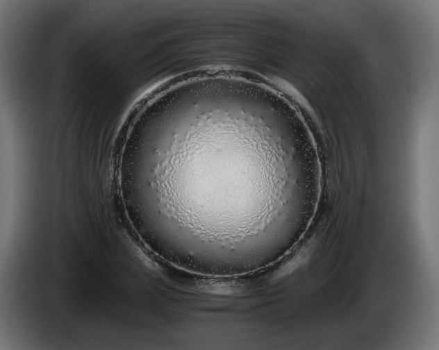 X0000084550831200703021504
