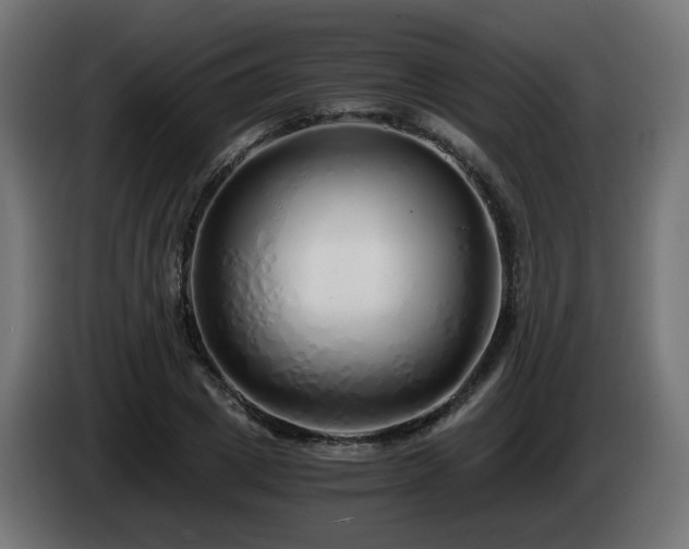X0000084550833200703021504
