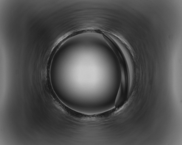 X0000084550834200703021504