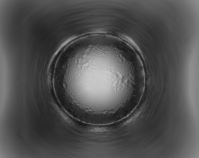 X0000084550835200703021504