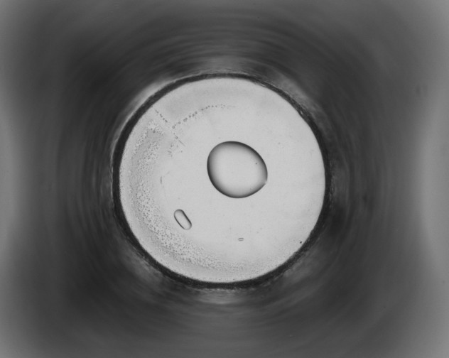 X0000084550836200703021504