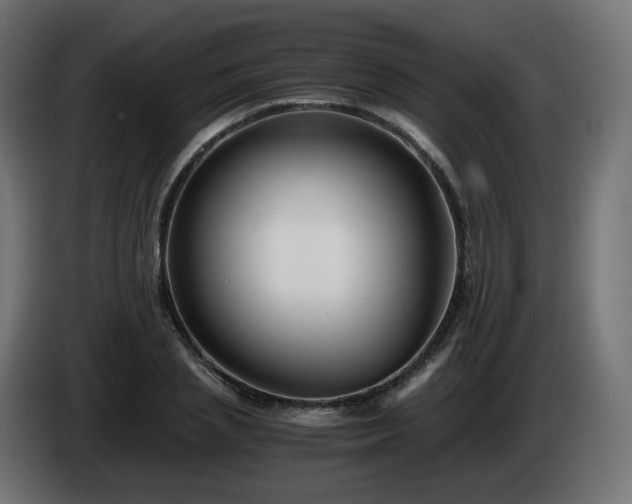X0000084550837200703021504