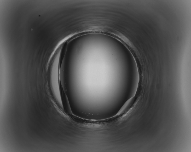X0000084550838200703021504