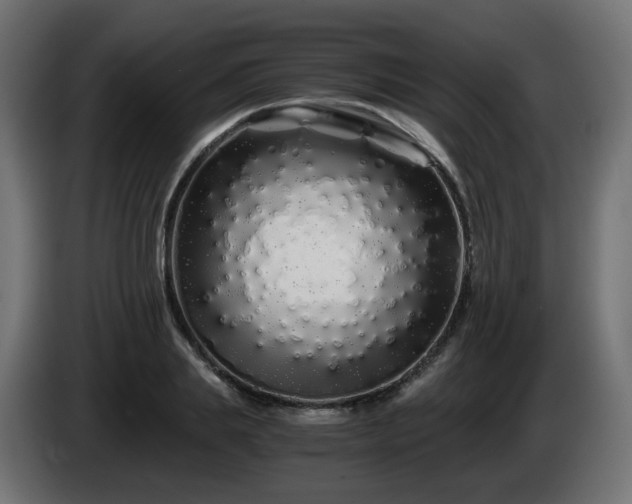X0000084550839200703021504