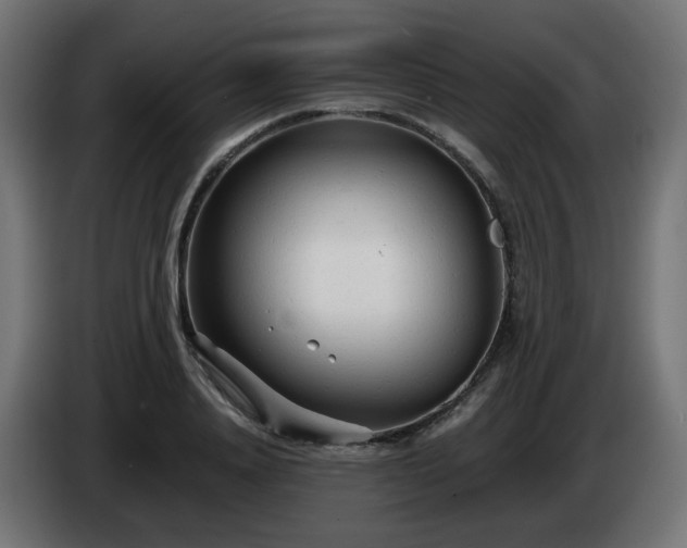 X0000084550840200703021504