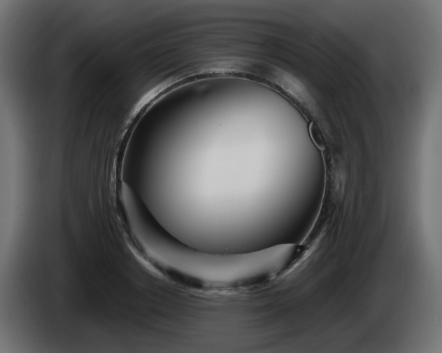 X0000084550842200703021504