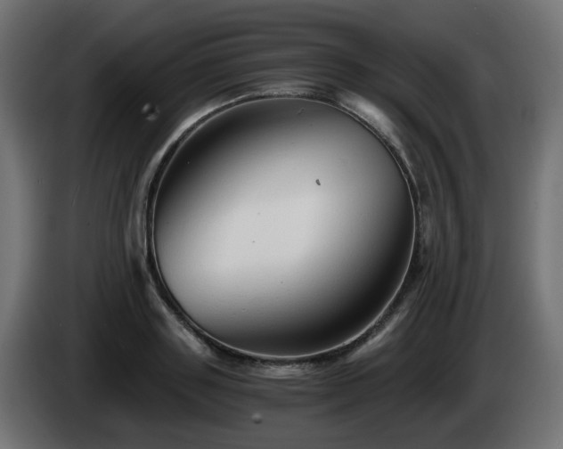 X0000084550843200703021504
