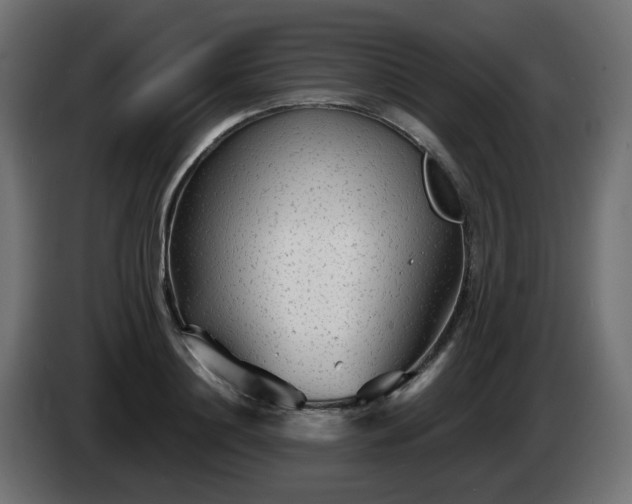 X0000084550844200703021504