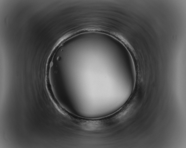 X0000084550845200703021504