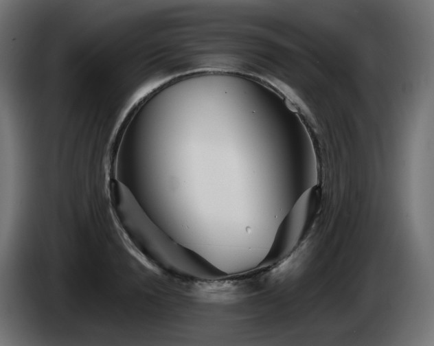 X0000084550846200703021504