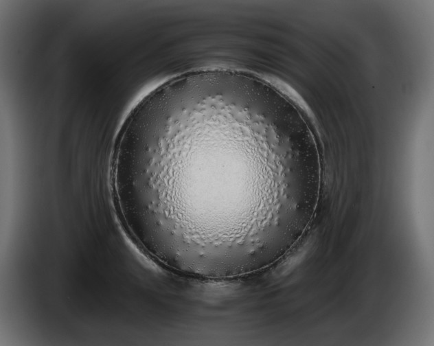 X0000084550847200703021504