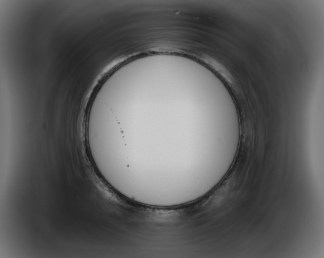 X0000084550848200703021504