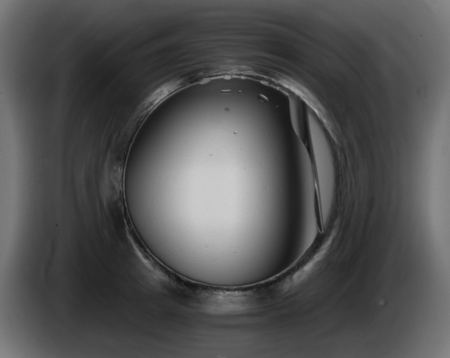 X0000084550849200703021504