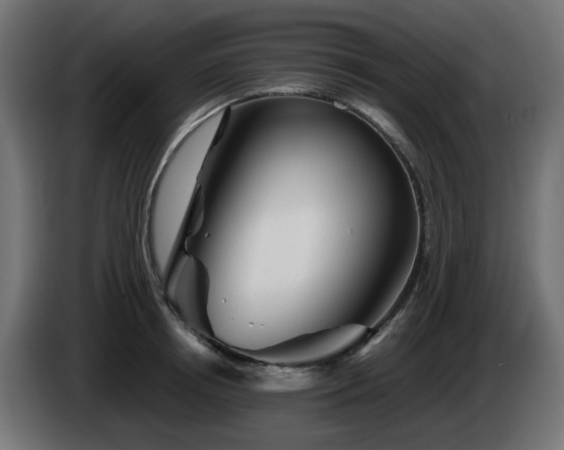 X0000084550850200703021504