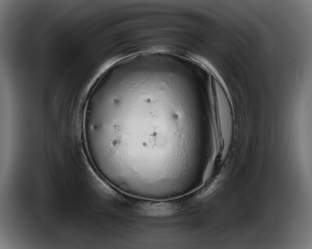 X0000084550851200703021504