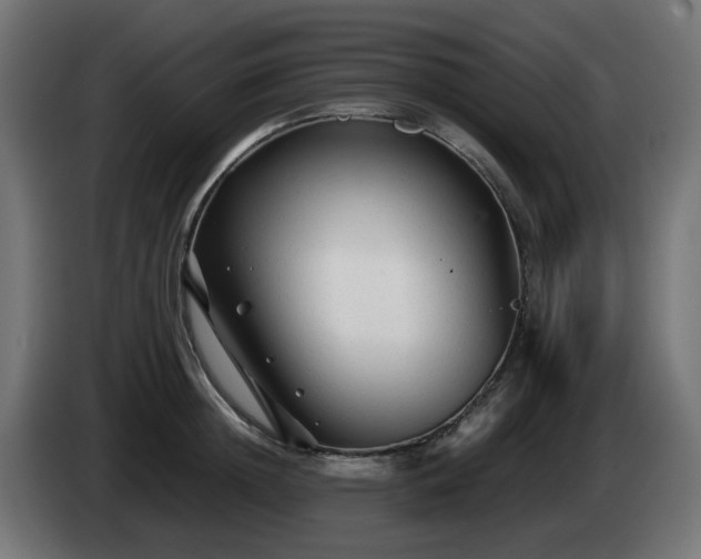 X0000084550852200703021504