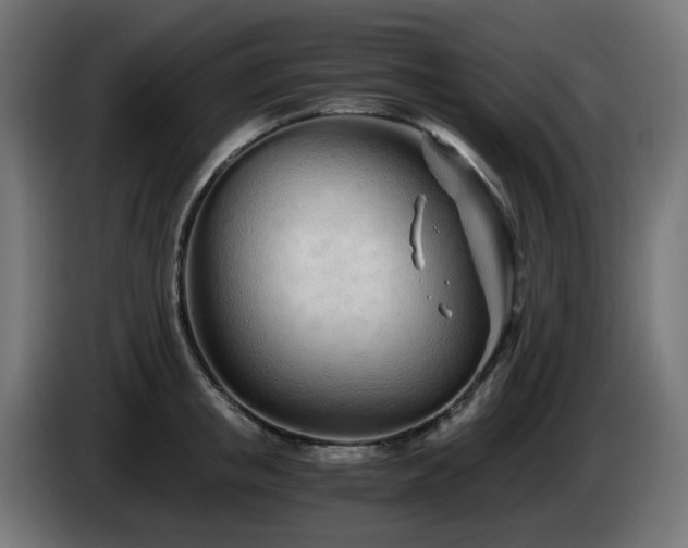 X0000084550853200703021504