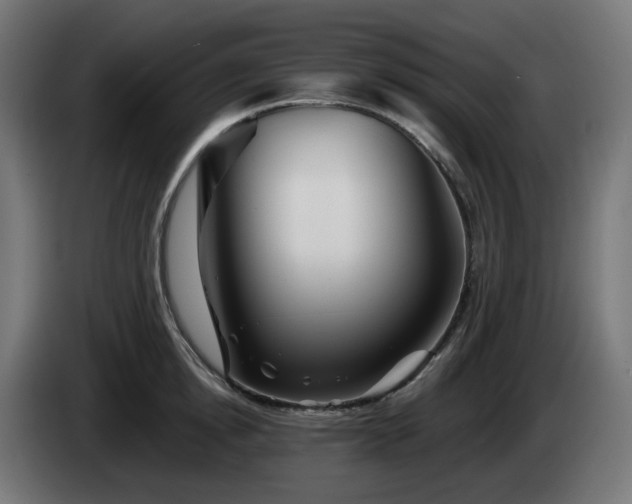 X0000084550854200703021504