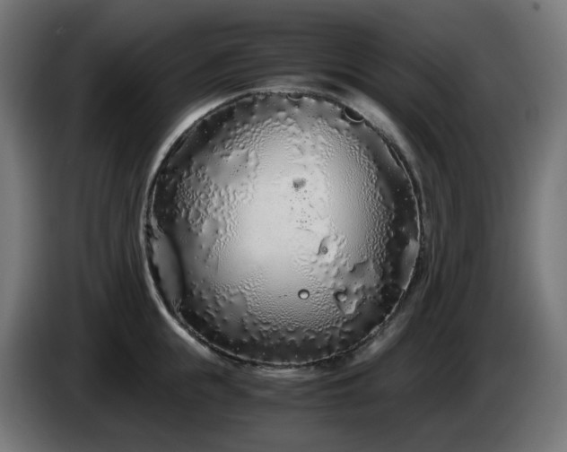 X0000084550855200703021504