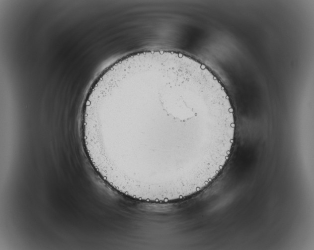 X0000084550856200703021504