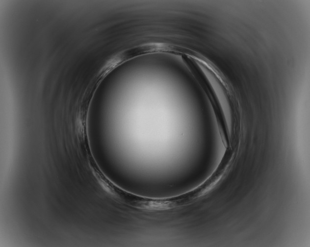 X0000084550857200703021504