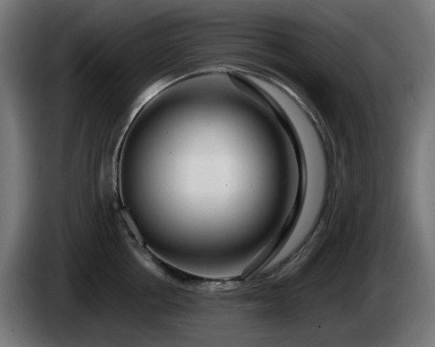 X0000084550858200703021504