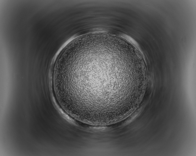 X0000084550859200703021504