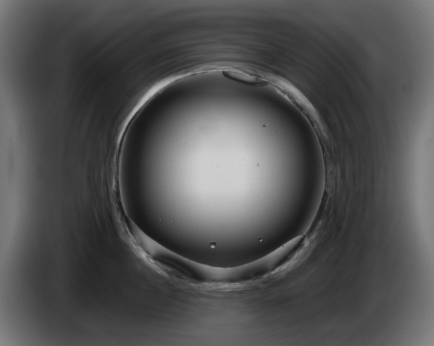 X0000084550860200703021504