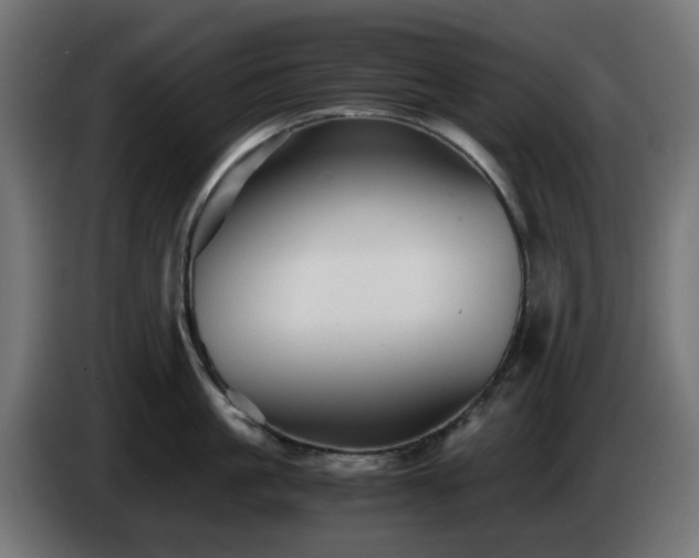 X0000084550861200703021504