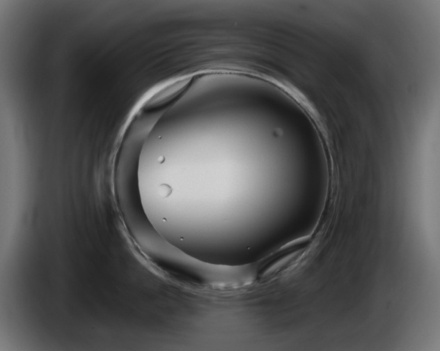 X0000084550862200703021504