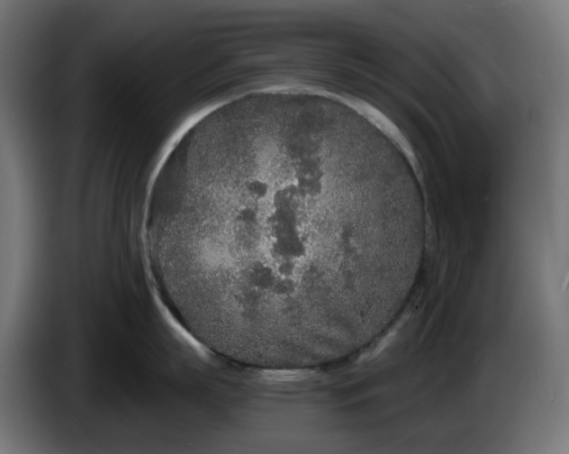 X0000084550863200703021504