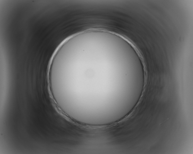 X0000084550864200703021504
