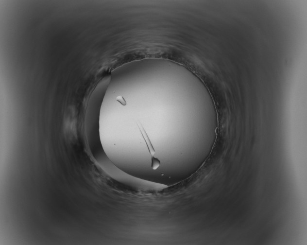 X0000084550866200703021504