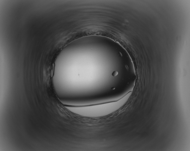 X0000084550868200703021504