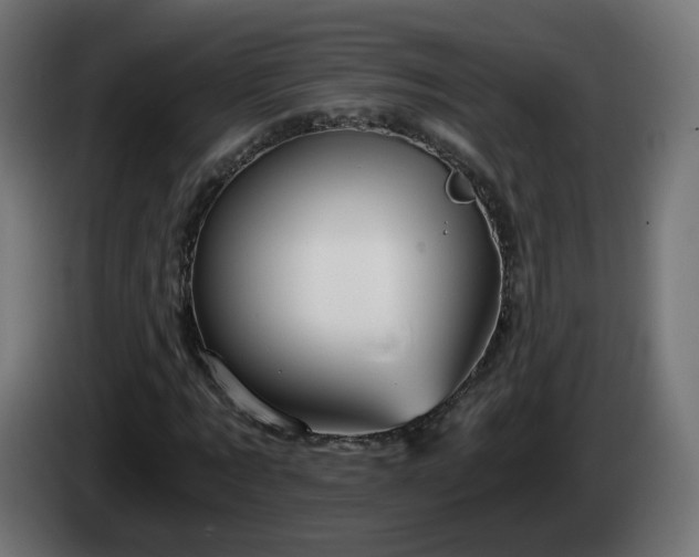 X0000084550869200703021504