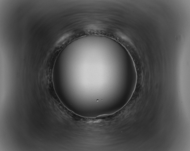 X0000084550870200703021504