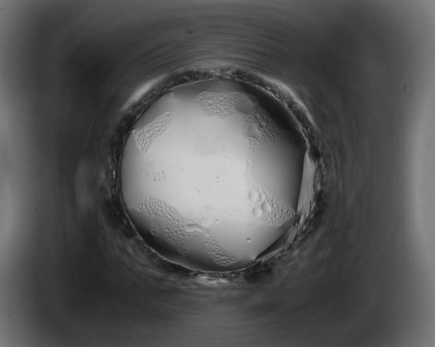 X0000084550871200703021504