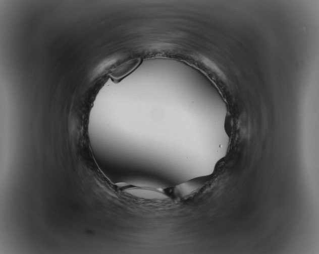X0000084550872200703021504