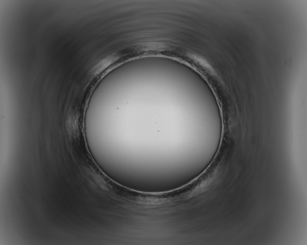X0000084550873200703021504