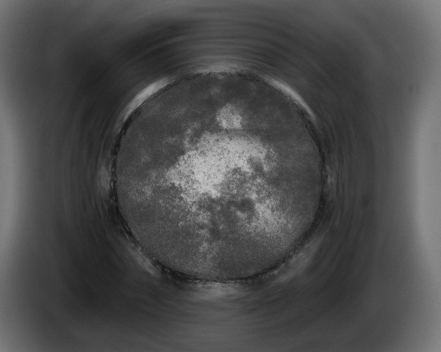 X0000084550874200703021503