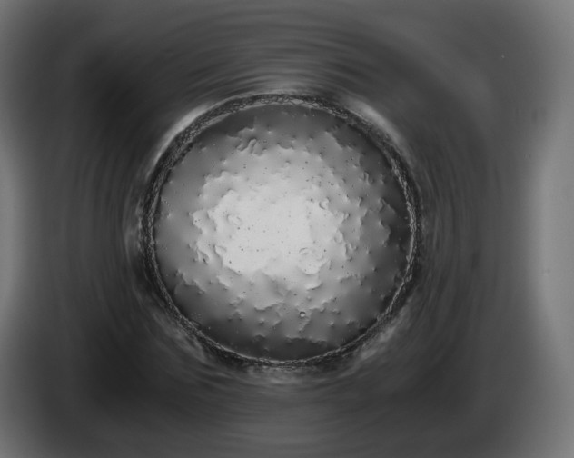 X0000084550875200703021503