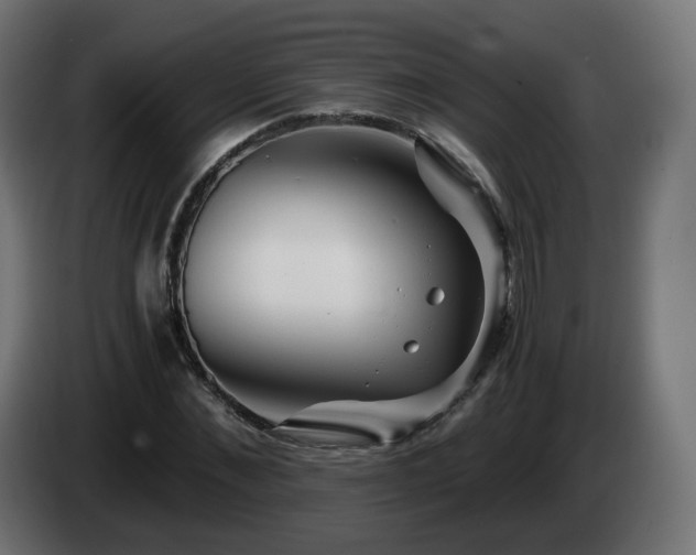 X0000084550876200703021503