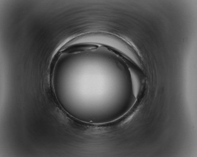 X0000084550877200703021503