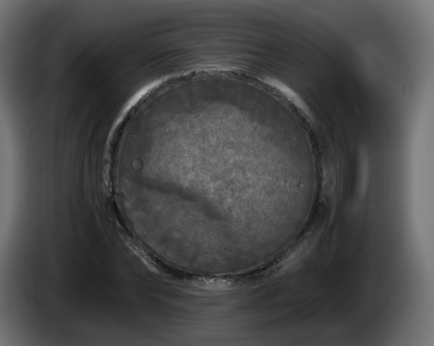 X0000084550878200703021503