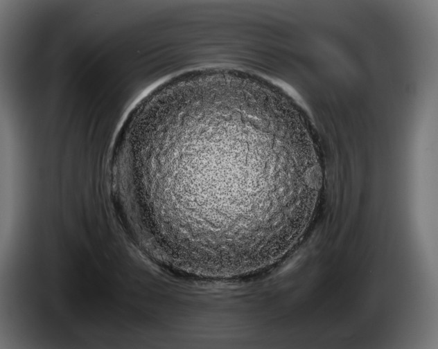 X0000084550879200703021503