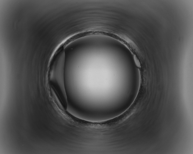 X0000084550880200703021503